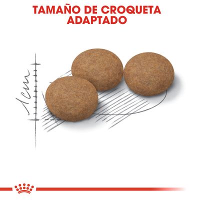 Royal Canin Ageing Sterilised 12+ al mejor precio en zooplus