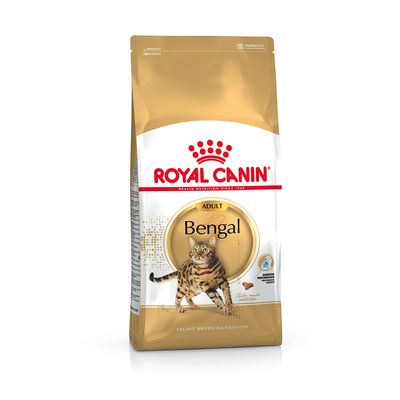 zooplus royal canin british shorthair