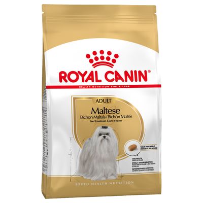 Royal Canin Bichon Maltês Adult