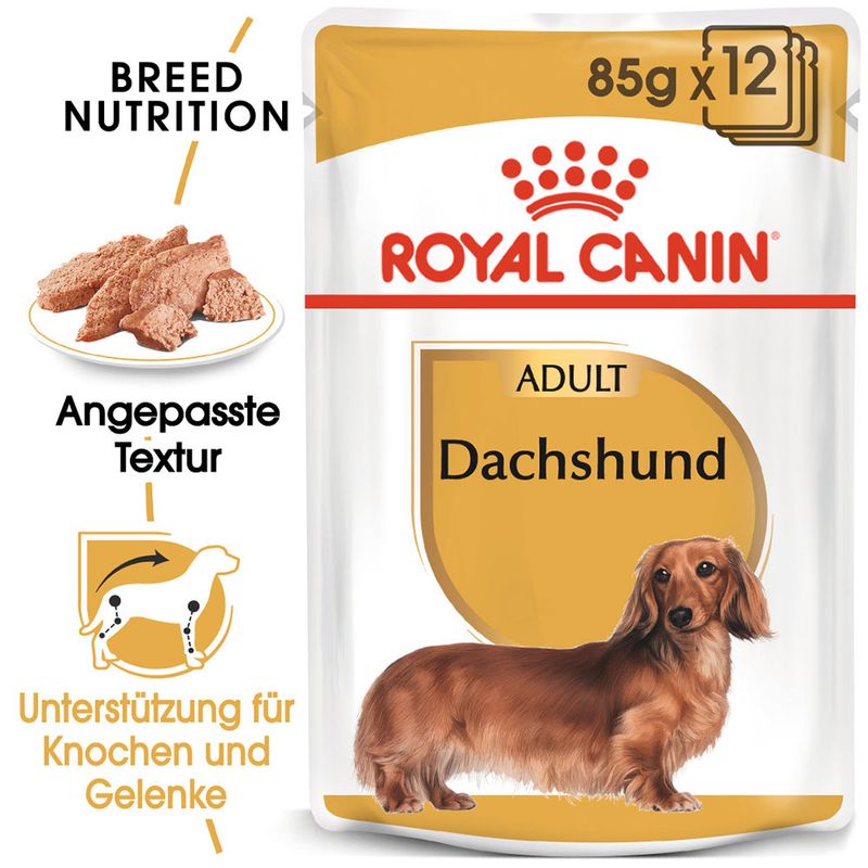 iams dachshund