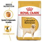 Labrador hundefutter - Die besten Labrador hundefutter analysiert!