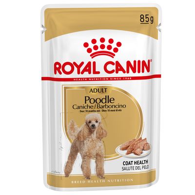 toy poodle food