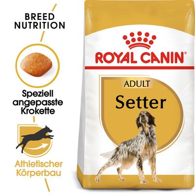 Royal Canin Breed Setter Adult Gunstig Kaufen Zooplus
