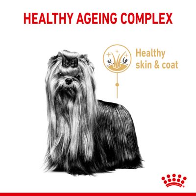 royal canin yorkshire terrier senior