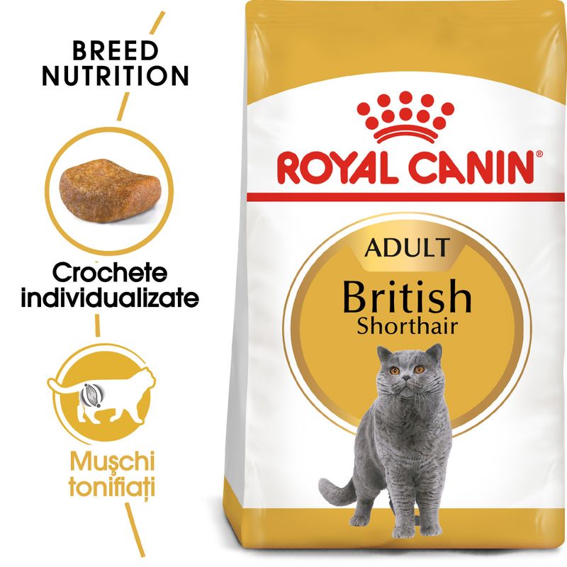 Royal Canin British Shorthair Adult Hrană uscată