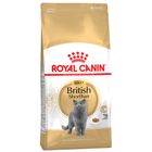 Royal Canin British Shorthair Adult - Kattenvoer