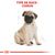 Royal Canin Carlin Puppy pour chiot