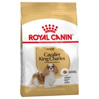 Royal Canin Breed Cavalier King Charles Adult | zooplus.no Royal Canin Breed Cavalier King Charles Adult | zooplus.no