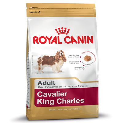 Royal Canin Breed Cavalier King Charles Adult | zooplus.no Royal Canin Breed Cavalier King Charles Adult | zooplus.no