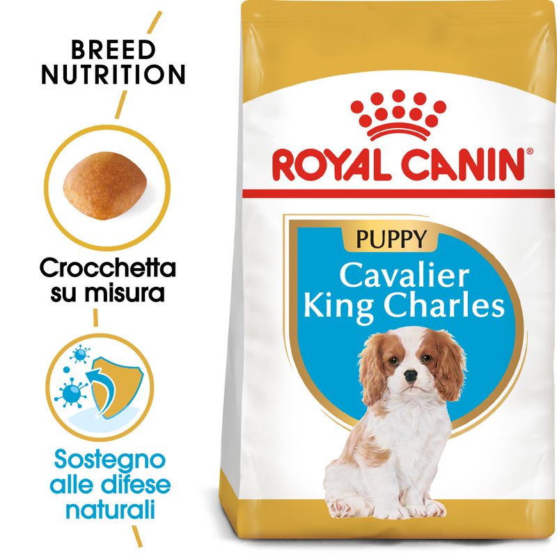 Alimento Secco Per Cani Royal Canin Cavalier King Charles Puppy Zooplus