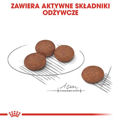 Royal Canin Digestive Care Mini – Trockenfutter Für Kleine Hunde Mit Empfindlicher Verdauung