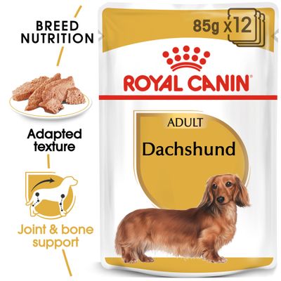 Royal Canin Dachshund Mousse