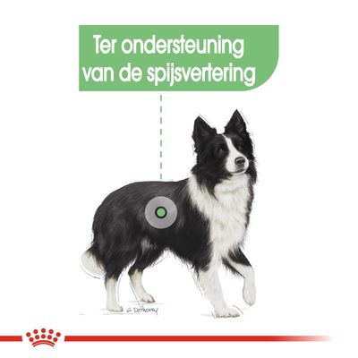 Royal Canin Digestive Care Medium Hondenvoer