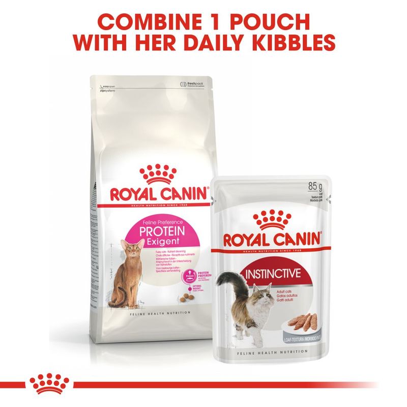 royal canin exigent 42