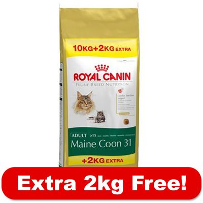 royal canin maine coon cat food 10kg