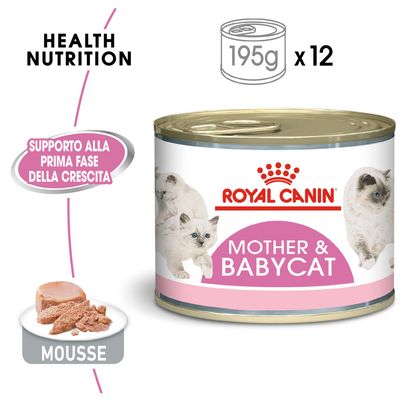 Umido per gattini Royal Canin Babycat Instinctive Mousse ...