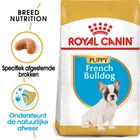 Royal Canin Franse Bulldog Puppy - Hondenvoer
