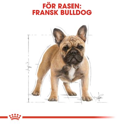 Royal Canin French Bulldog Adult