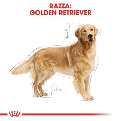 Alimento Secco Per Cani Royal Canin Golden Retriever Adult Zooplus