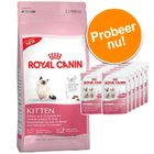 Royal Canin Kattenvoer - Kitten Proefpakket