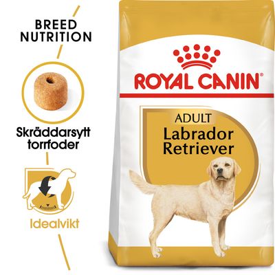 Royal Canin Labrador Retriever Adult