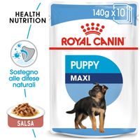 royal canin paediatric junior