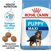 royal canin paediatric junior