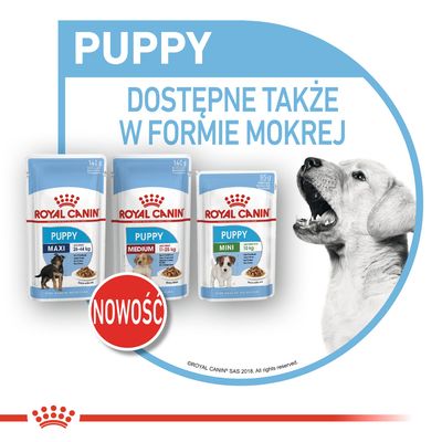royal canin maxi puppy 18kg