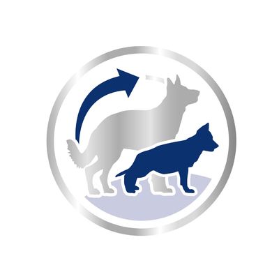 royal canin maxi puppy active professional