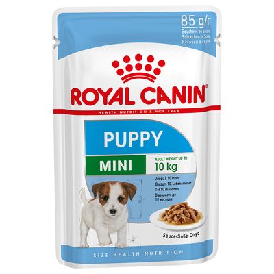 Comida para puppy clearance
