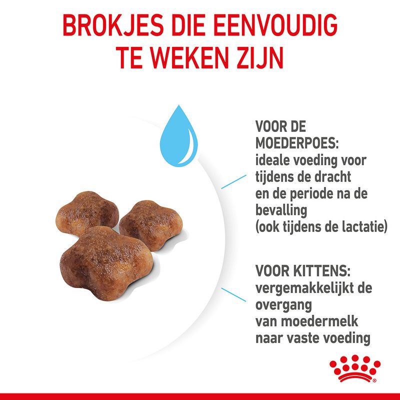 Royal Canin Mother & Babycat