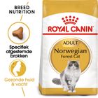 Royal Canin Noorse Boskat Adult - Kattenvoer