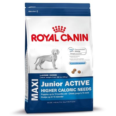 Royal Canin Puppy Active Maxi al mejor precio en zooplus