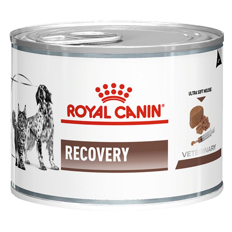 Royal canin recovery preço clearance