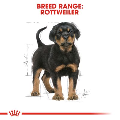 royal canin rottweiler junior 20kg