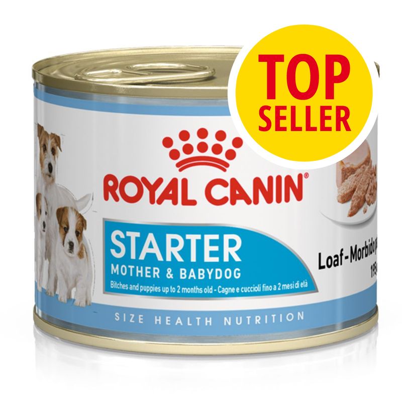 starter royal canin mini