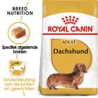 Royal Canin Teckel Adult - Hondenvoer