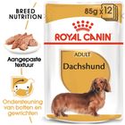 Royal Canin Teckel Adult - Hondenvoer