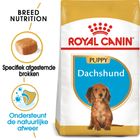 Royal Canin Teckel Puppy - Hondenvoer