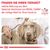 Royal Canin Veterinary Canine Recovery