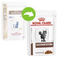 rc gastrointestinal cat