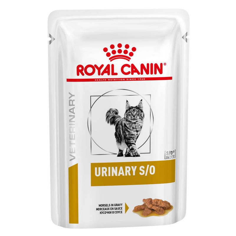 royal urinary cat
