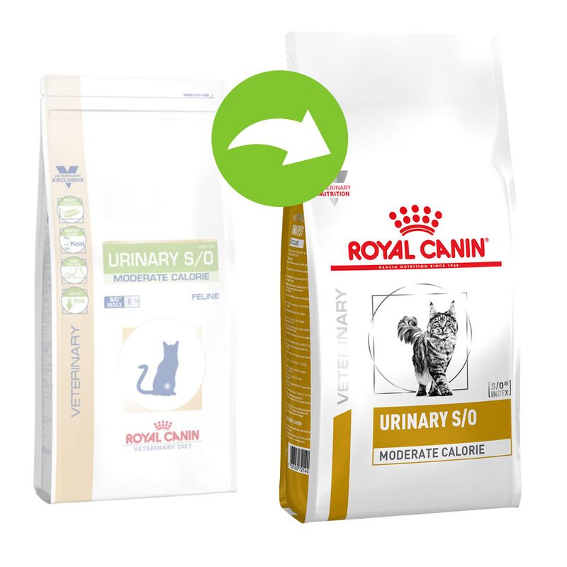 royal canin sd