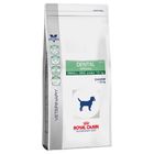 Royal Canin Veterinary Diet Dental Special Small Dog Hondenvoer