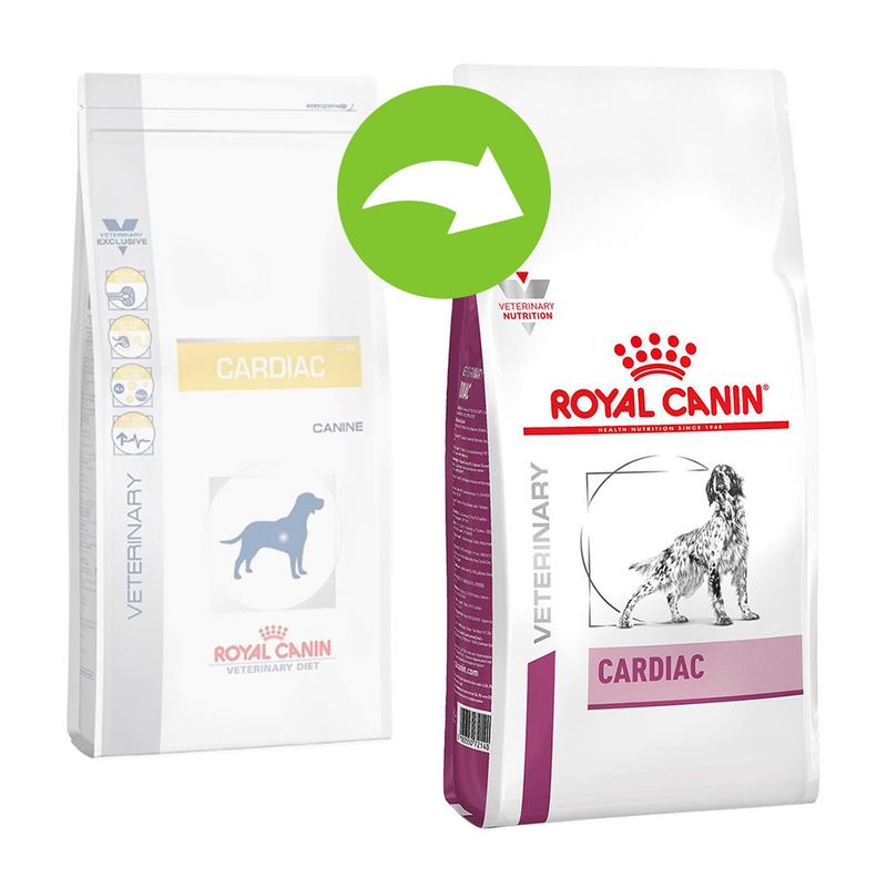 royal canin cardiac cat