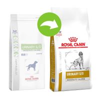 urinary royal canin small dog