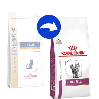 Royal Canin plötzlichen Gewichtsverlust