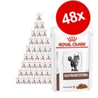 Royal Canin Veterinary Diet -säästöpakkaus 48 x 100 g / 85 g