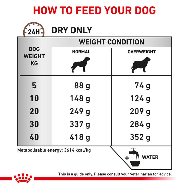 gastro intestinal royal canin moderate calorie