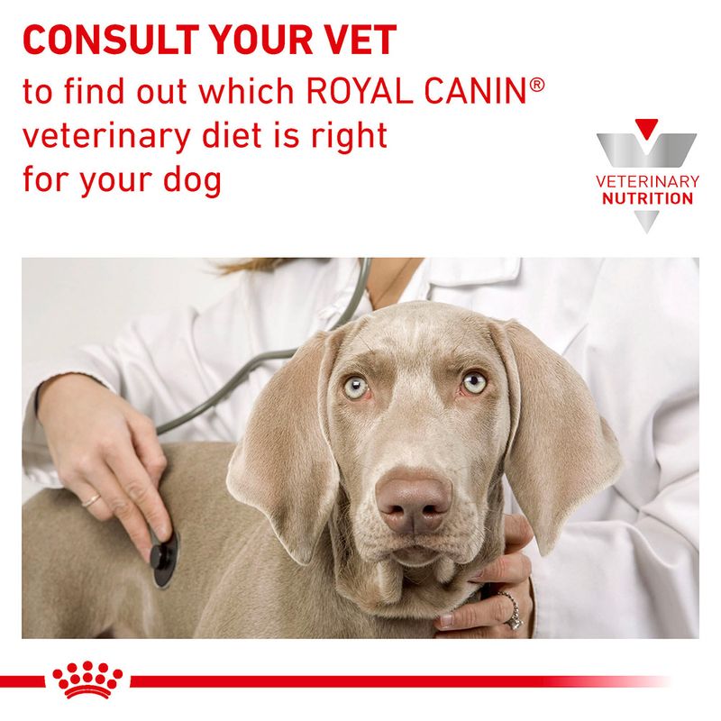 gastro intestinal royal canin moderate calorie